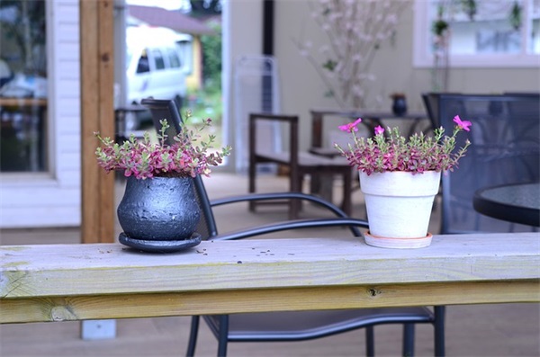 12星座感人爱情语录12句