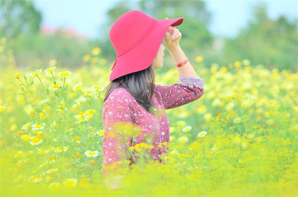 感恩的句子英文带翻译成英文翻译